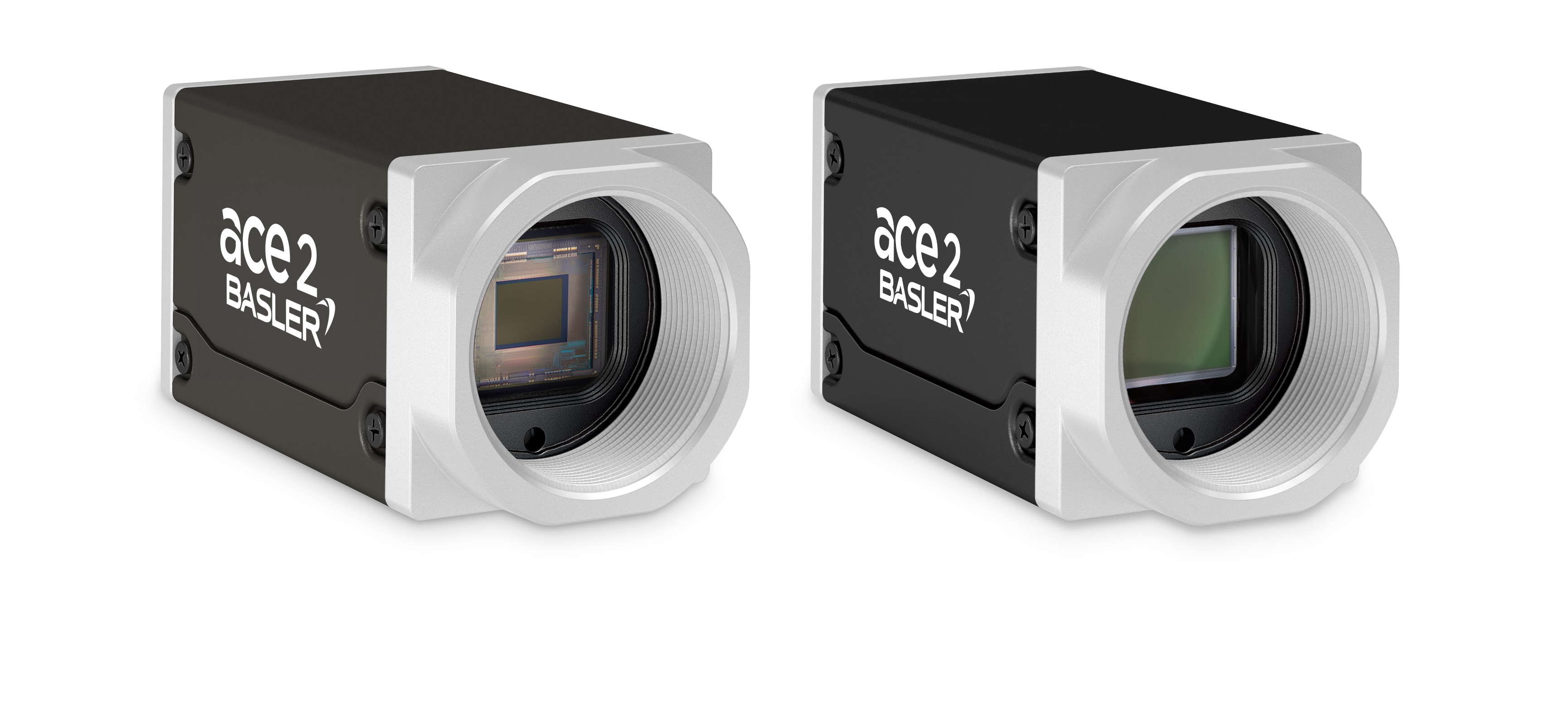 ace 2 X Portfolio