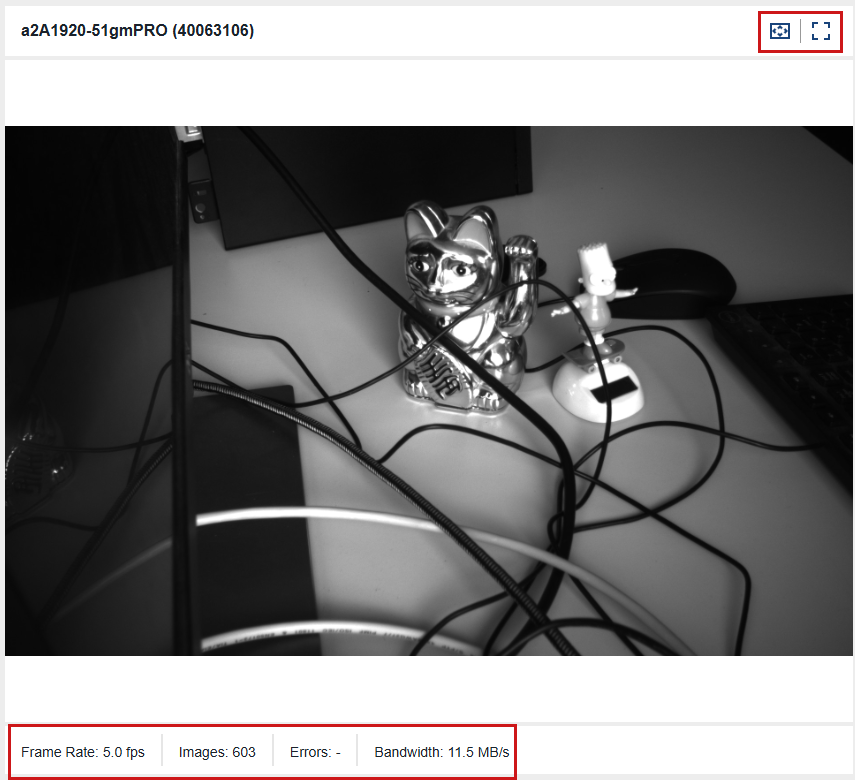 Image Display Area with Frame Rates, Number of Images Grabbed, as Well as Errors and Bandwidth Image Display Area with Frame Rates, Number of Images Grabbed, as Well as Errors and Bandwidth