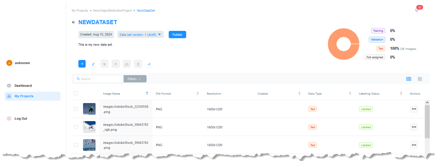 Data Set Properties Page